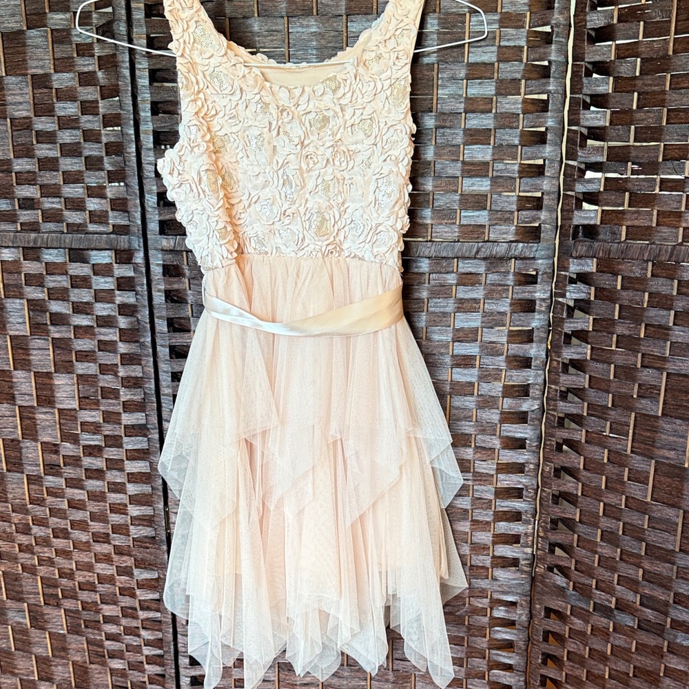 Girls 10 Pink & Violet rose gold champagne pink tutu dress EUC fancy - Picture 5 of 6
